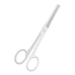 Stainless scissors icon isolated