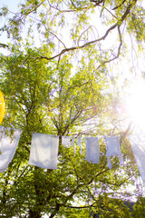 white laundry in the sun - 145772159