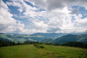 Obraz premium beautiful forest landscape in the Carpathian mountains