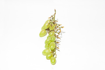 Conceptual shot of a half plucked grape against a white background.