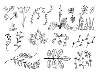 Set of Black Hand Drawn Floral Design Elements Isolated on White Background