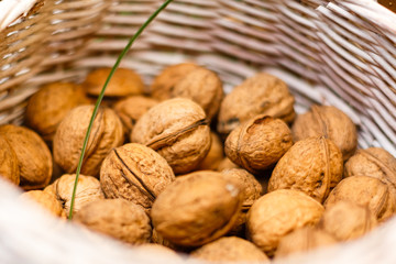 walnuts in the basket