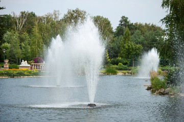 the fountains in the pond in the summer park