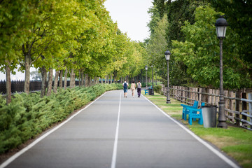 asphalt road in summer beautiful park