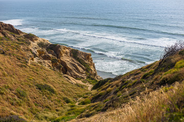 Pacific ocean coast. Cliffs. Flower and plant in the spring