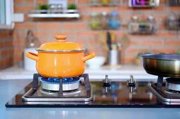 Kitchen luxury cooking closeup pot on the gas stove
