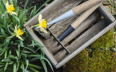 Garden tools on a background of spring flowers