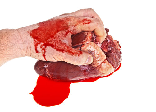 Raw beef heart in men's hand on a white background