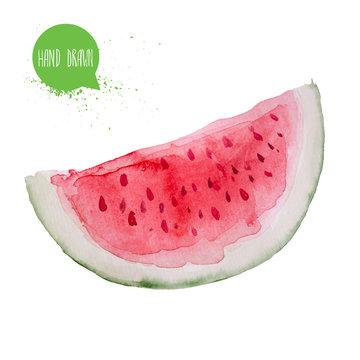 Hand drawn and painted watercolor watermelon slice. Isolated on white background fruit illustration.