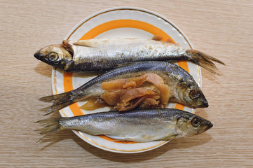 Salted fish Clupea harengus membras