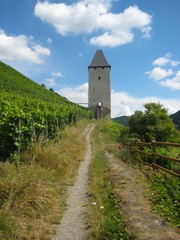 Fototapeta na wymiar Tower in the Vineyards