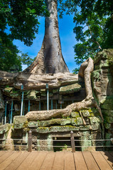 Fototapeta na wymiar Banteay Kdei temple with silk cotton tree roots in Angkor, Siem Reap, Cambodia.