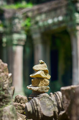 Ta Prohm temple ruins in Angkor, Siem Reap, Cambodia.