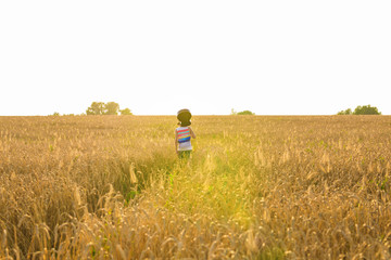 Musician holding acoustic guitar and walking in summer fields at sunset
