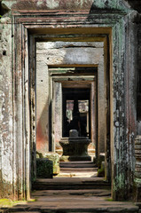 Fototapeta na wymiar Ta Prohm temple in Angkor, Siem Reap, Cambodia.