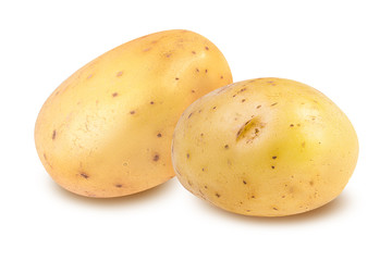 potato isolated on white