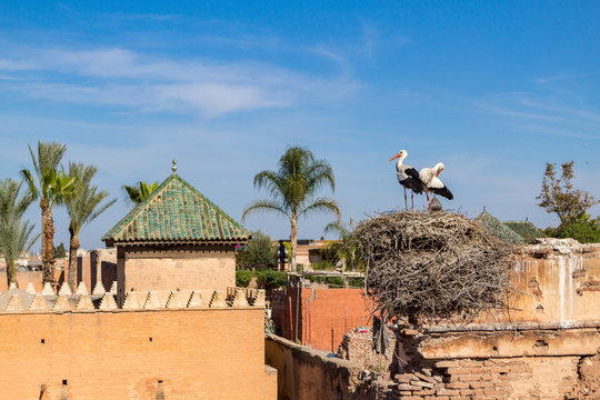 Stork on a nest on the roofs of Marrakesh in Morocco.