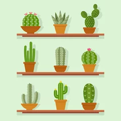 Zelfklevend Fotobehang Cactus in pot Cactus icon vector illustration in a flat style