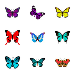 Fototapeta na wymiar Realistic Bluewing, Sangaris, Archippus And Other Vector Elements. Set Of Beautiful Realistic Symbols Also Includes Hairstreak, American, Bluewing Objects.