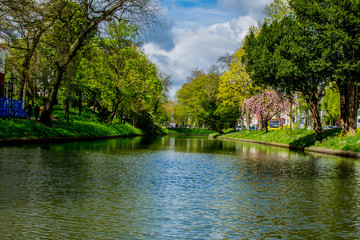 green landscape view with grass water and blue sky