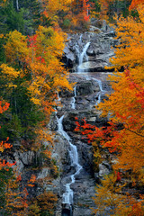 Obraz na płótnie Canvas Autumn foliage