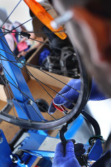 Serwis rowerowy naprawa koła.
Mechanik w serwisie rowerowym naprawia koło w rowerze.
 - obrazy, fototapety, plakaty