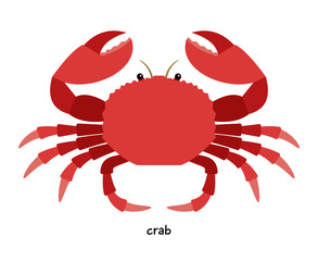 Crab - aquatic animal destroying commercial shellfish - oysters and mussels
