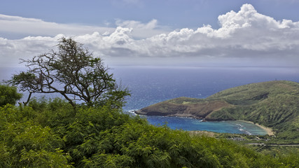Fototapeta na wymiar view from Koko head on Hanauma Bay on Hawaii