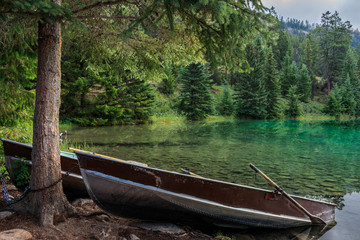 Rowboats on Pond