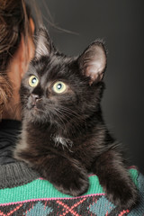 Black kitten on her shoulder
