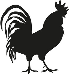 rooster. blsck silhouette
