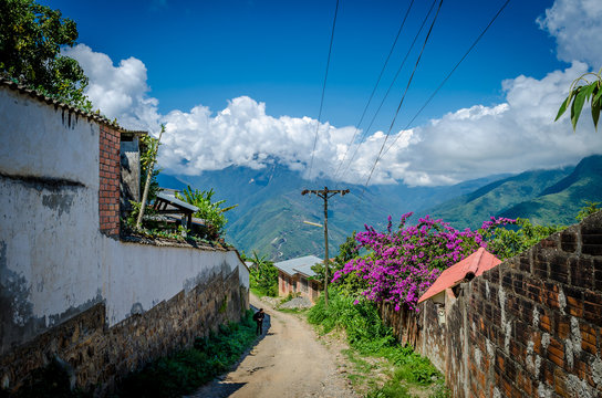 Coroico