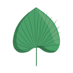 tropical leaf icon over white background. colorful design.  vector illustration
