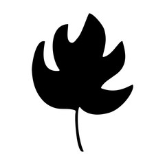 tropical leaf icon over white background. vector illustration
