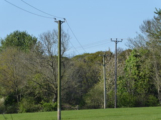 Electricity Poles