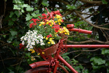 Fototapeta na wymiar Rotes Fahrrad mit Blumenschmuck