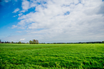 Fototapeta na wymiar green landscape view with grass water and blue sky
