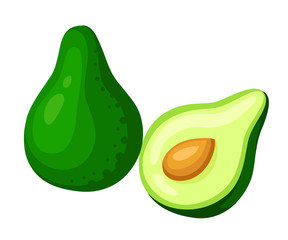 Vector avocados illustration. Whole and cut avocado isolated on white background.