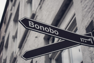 Obraz premium Street Sign