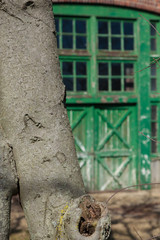 Decaying Doors at Sandy Hook