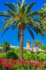 Fototapeta na wymiar View of an old historic windmill in Palma de Majorca Spain