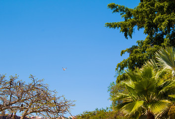 Spain. It presents different species of cactus, tropical plants and garden.