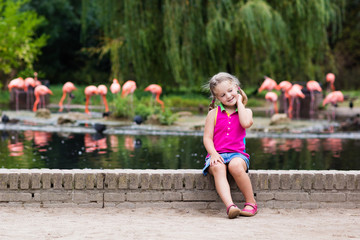 Naklejka premium Child watching animals and birds at the zoo