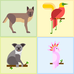 Australia wild animals cartoon popular nature characters flat style and australian mammal aussie native forest collection vector illustration.