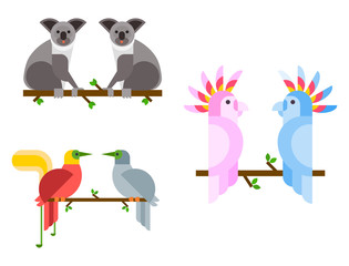 Young koala sitting on tree branch australia bear cute mammal peaceful relaxation nature vector © Vectorvstocker