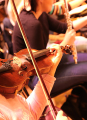 Woman playing the violin. Rehearsal Symphony orchestra.