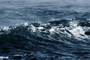 Big stormy ocean wave. Blue water background