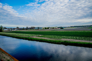 green landscape view with grass water and blue sky
