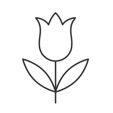 Tulip linear icon