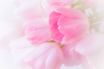 fresh pink lilies on wicker basket decorate pearl and ribbon. Closeup and soft background